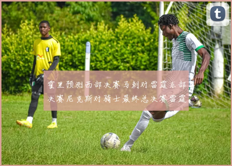 霍里预测西部决赛马刺对雷霆东部决赛尼克斯对骑士最终总决赛雷霆对决骑士